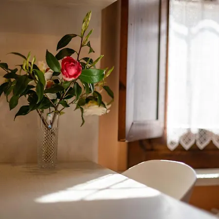 Il Portico In Piazza Principale * Orta San Giulio